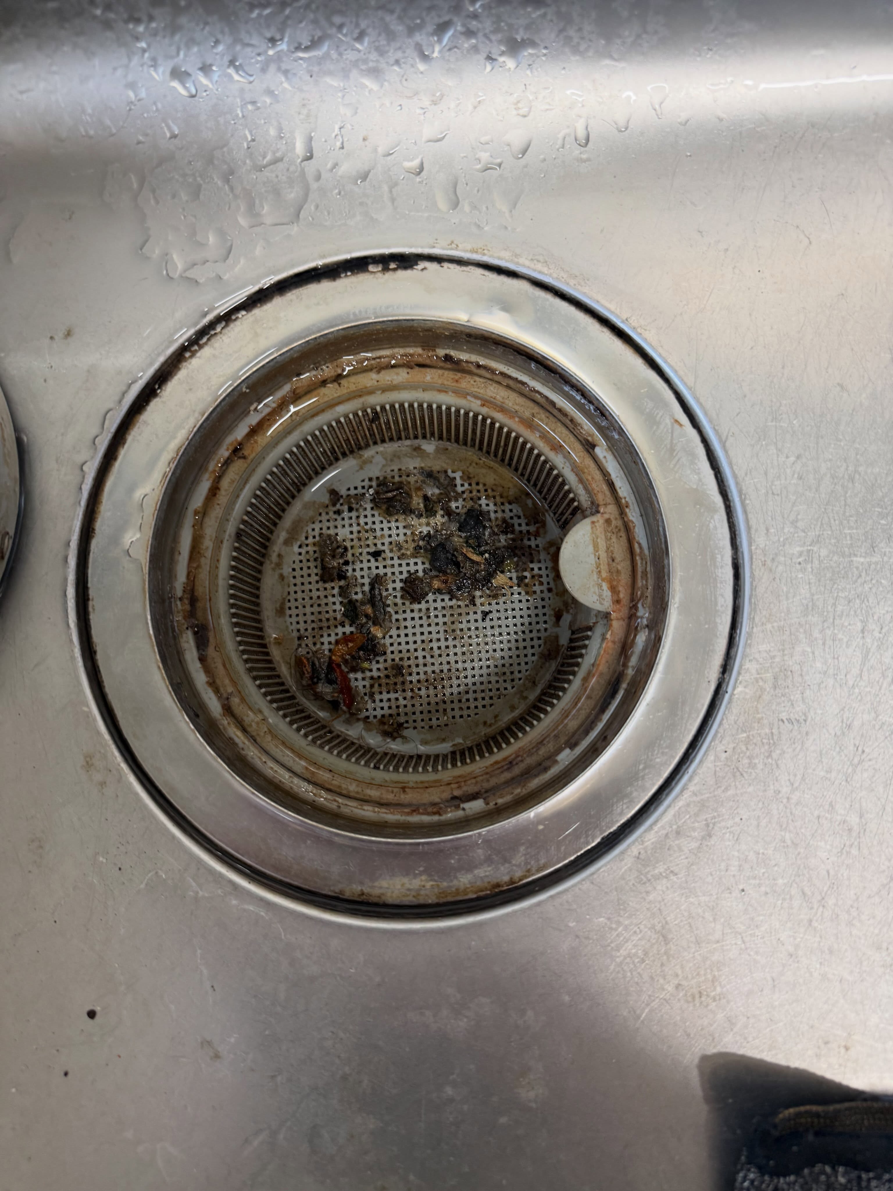 シンク排水口のクリーニング:清掃前